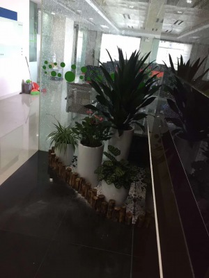 藝術組合盆景